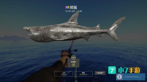 大鱼杀手